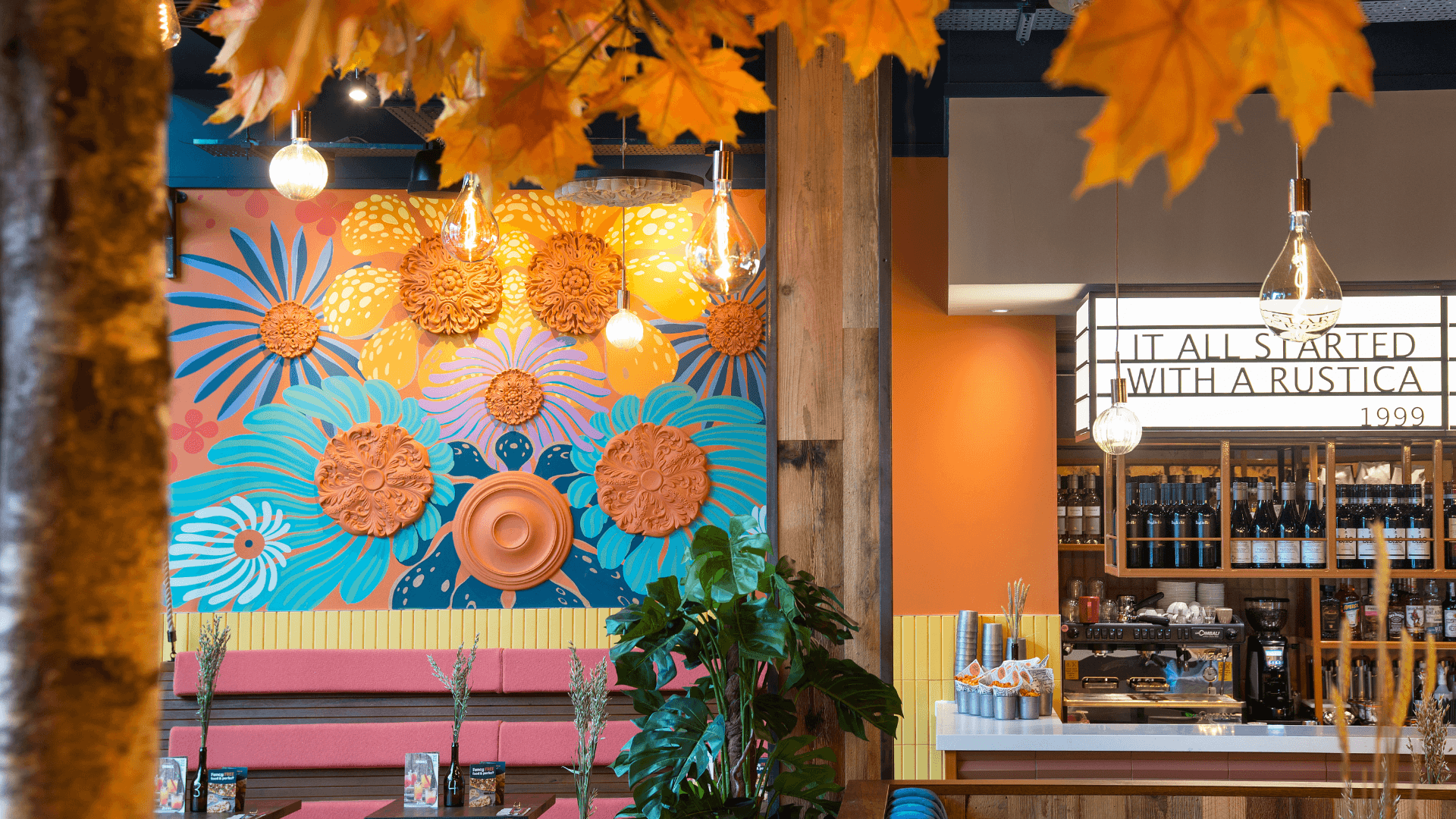 Zizzi Chester